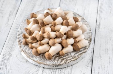 Bebek kral istiridye mantarı kesim tahtasının üstünde