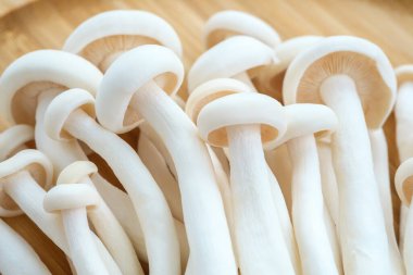 Tahta tepside beyaz kayın mantarı yığını.