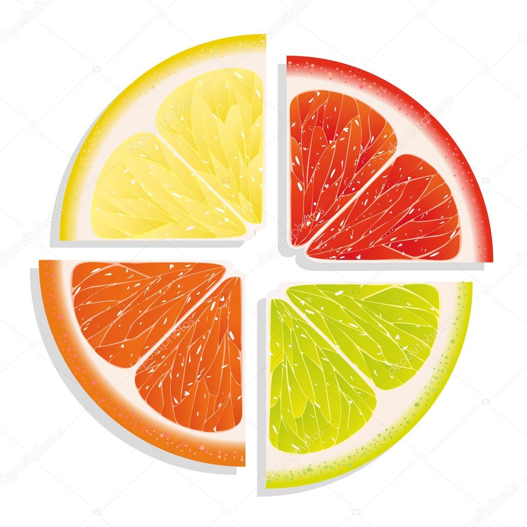 Lemon, lime, grapefruit and orange on white background