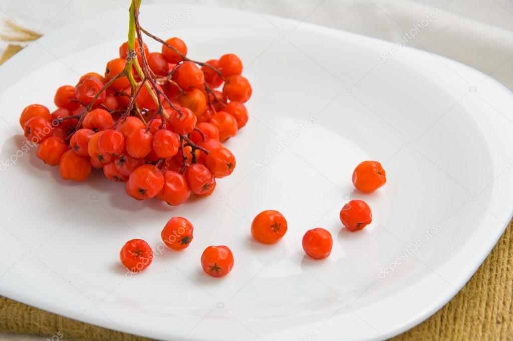 Rowan berry lies on a white plate
