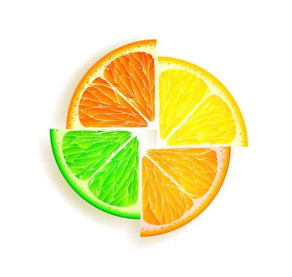 Limón, naranja, lima y pomelo — Vector de stock