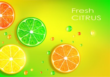 portakal, limon, limon ve greyfurt