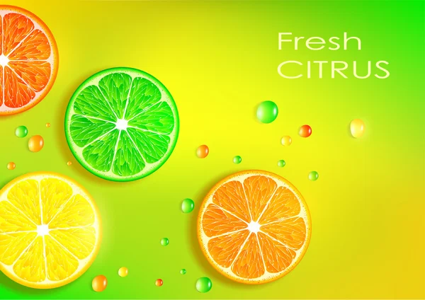 Naranja, limón, lima y pomelo — Vector de stock