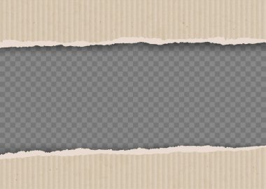 Yırtık kenarlı karton çarşaf. Şeffaf arkaplanda izole edilmiş. Boş kağıt arkaplan. Vektör şablonu.