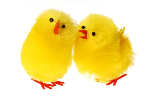 Two Easter Chicken communicating — Stock Photo, Image