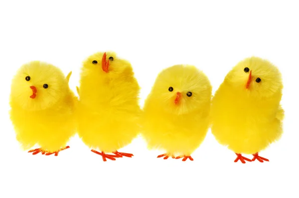 Row Of Easter Chicken — Stock Photo, Image