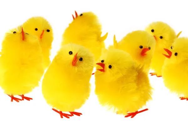 Grupp av påsk kyckling — Stockfoto