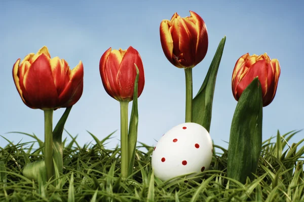 Easter arrangement — Stock Photo, Image