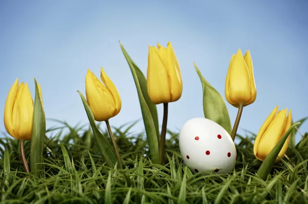 Easter arrangement — Stock Photo, Image