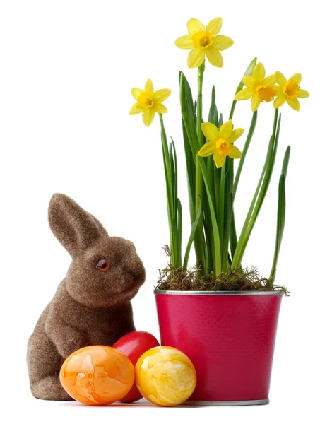 Gula påskliljor med Påskharen och påsk ägg dekoration — Stockfoto