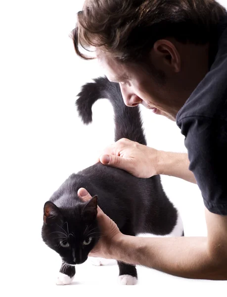 Cat examination — Stock Photo, Image