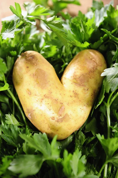 Potatoe love — Stock Photo, Image