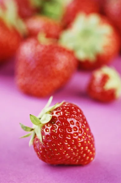 Aardbeien — Stockfoto