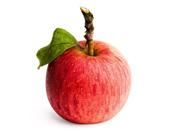 Свежесобранное и охлажденное яблоко с зеленым листом — стоковое фото