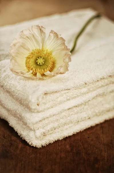 Beauty arrangement, towels with white flower — Stock Photo, Image