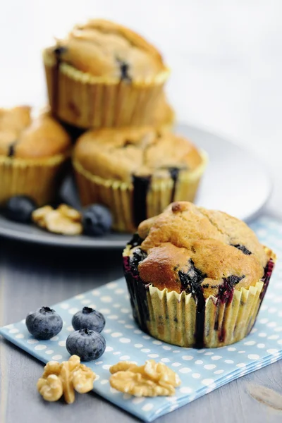 Deliziosi mirtilli, farine d'avena e muffin al latticello — Foto Stock