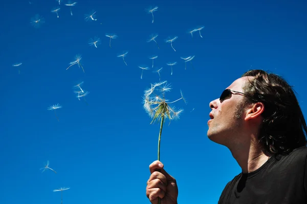 Man blowing a dandelion — Stock Photo, Image