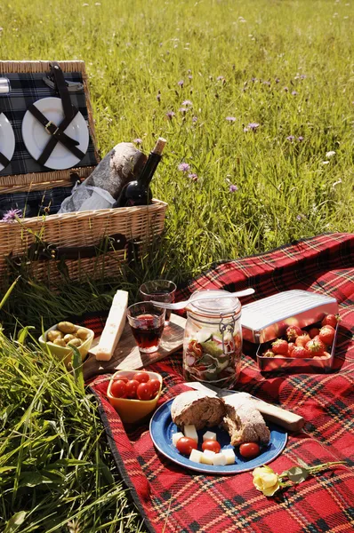 Picnic serie — Stock Photo, Image