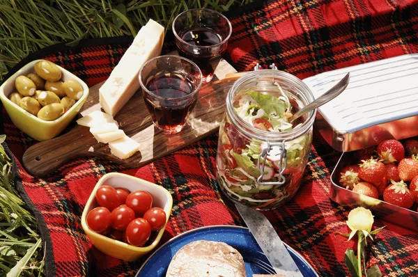 Picnic serie — Stock Photo, Image