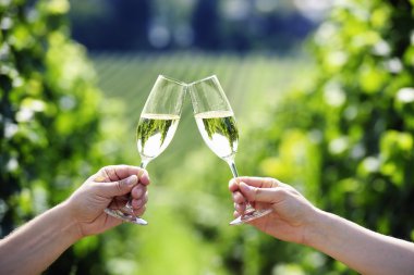 Toasting with two glasses of Champagne in the vineyard clipart
