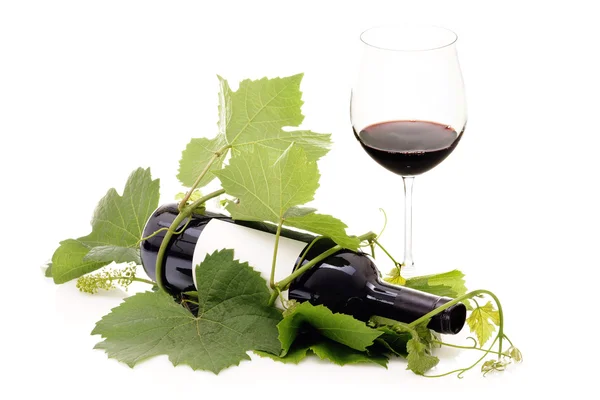 Bouteille de vin rouge enveloppée dans la vigne et le verre — Photo