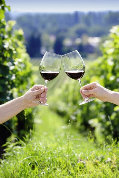 Brindis con dos copas de vino tinto en el viñedo —  Fotos de Stock