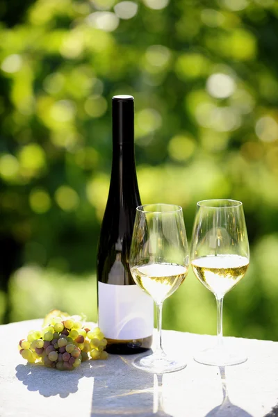 Twee glazen van witte wijn (Riesling) en fles in wijngaard — Stockfoto