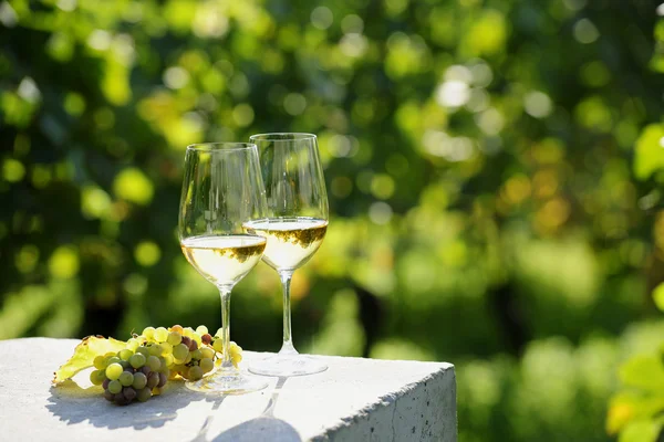 Zwei Gläser Weißwein (Risling) im Weinberg — Stockfoto