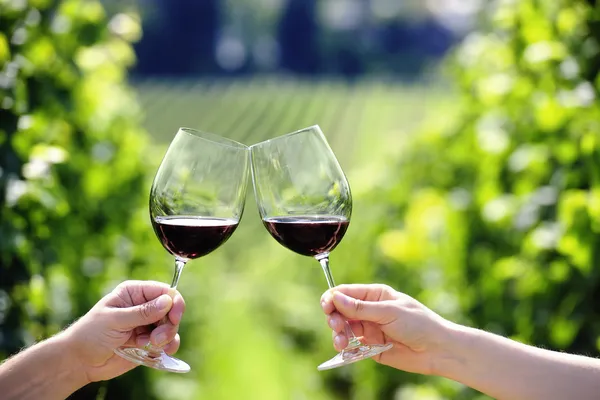 Toasting with two glasses of red wine in the vineyard — Stock Photo, Image