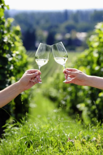 Toasting with two glasses of white wine in the vineyard — Stock Photo, Image