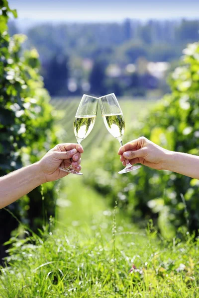 Toasting with two glasses of champagne in the vineyard — Stock Photo, Image
