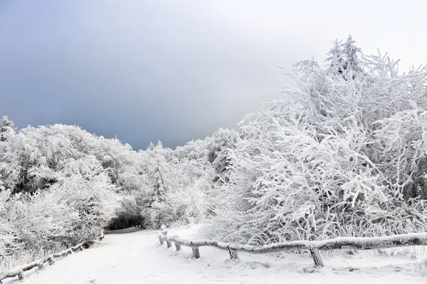 Paisaje invierno —  Fotos de Stock