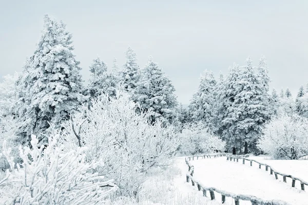 Paysage hivernal Images De Stock Libres De Droits