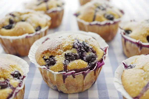 Muffins de arándanos Imágenes de stock libres de derechos