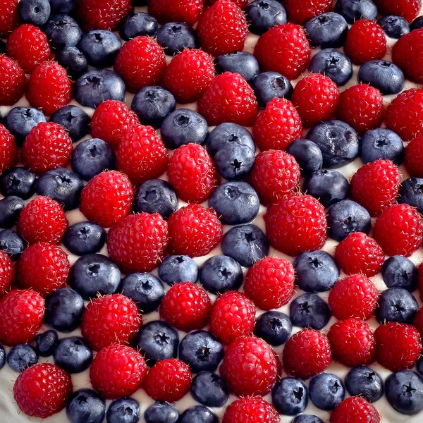 Fresh blueberries and raspberries in sweet cream. — Stock Photo, Image
