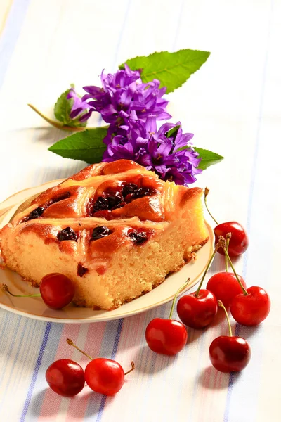 Cherry pie with a lattice — Stock Photo, Image