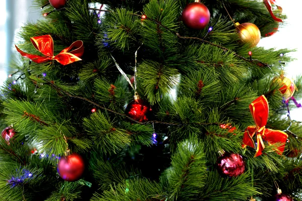 Christmas tree close-up — Stock Photo, Image