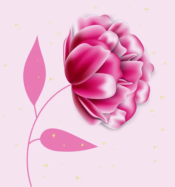 Realistic Pink Peony Flowers Bud Isolated Pink Background Vector Illustration — Stock Vector