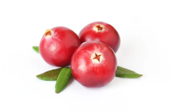 Beyaz arka plan üzerinde izole ekilmemiş orman kızılcık