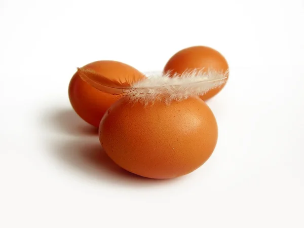Três ovos e penas sobre fundo branco — Fotografia de Stock