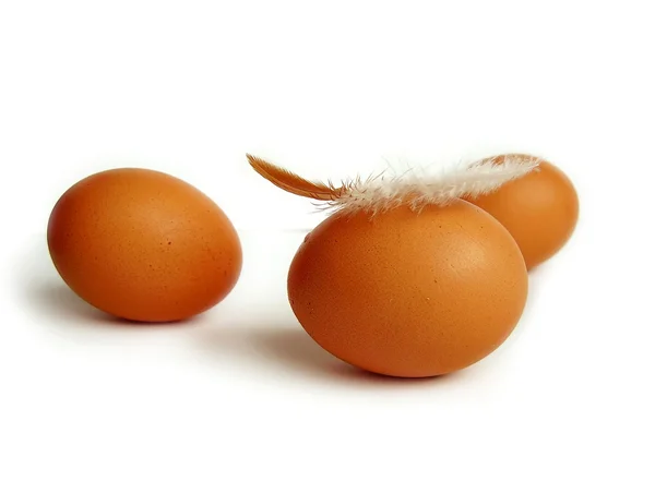 Três ovos com pena — Fotografia de Stock