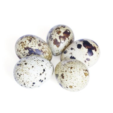 bıldırcın yumurtası