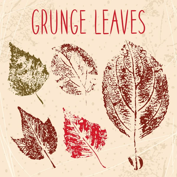 Grunge caído folhas textura — Vetor de Stock