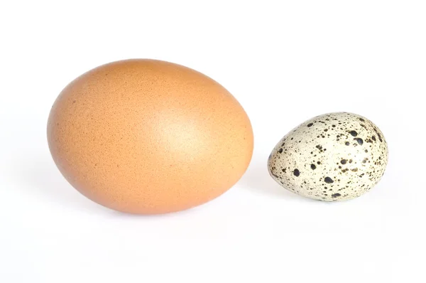 Huevos de codorniz y gallina — Foto de Stock