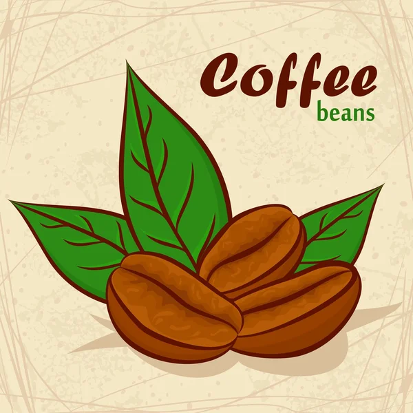 Kávová zrna — Stockový vektor