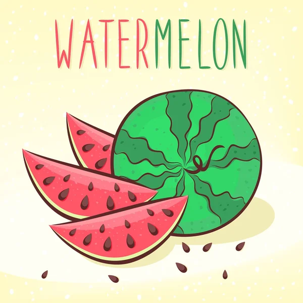 Watermelon vector illustration — Stock Vector