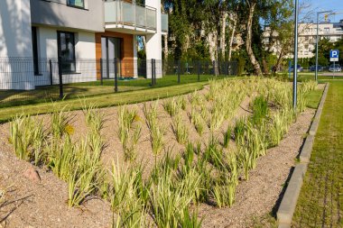 Banliyöde bahçeleri olan modern bir apartman.