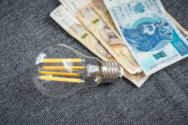 Lâmpada Com Dinheiro Polaco Conceito Poupança Energia Factura Electricidade — Fotografia de Stock