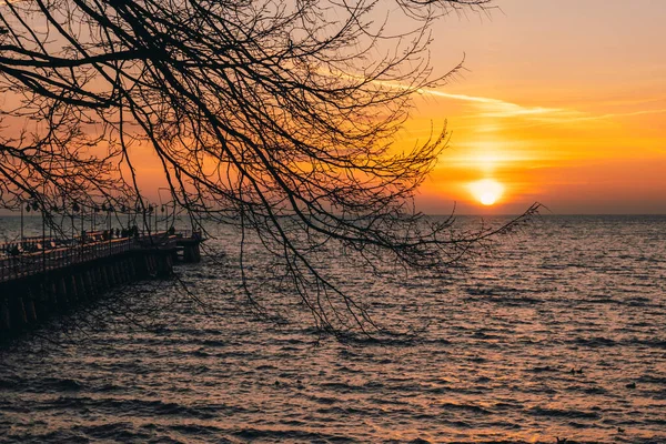 Ветви Деревьев Восход Солнца Балтийском Море Гдыня Орлово — стоковое фото