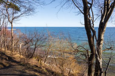 Polonya, Gdynia 'da bahar ağaçları ve Baltık Denizi manzarası